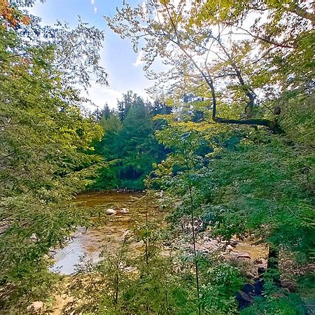 79 Covered Bridge Lane Bartlett Bagian luar foto